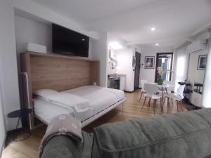 ein Schlafzimmer mit einem Bett, einem Sofa und einem TV in der Unterkunft 1B. Estudio muy luminoso en el corazón del tapeo. in Ourense