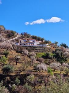 una casa en la cima de una colina con árboles en B&B Casa Mijo, en Daimalos
