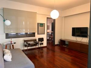 salon z kanapą i telewizorem w obiekcie Stylish and spacious city center apartment w mieście Rosario