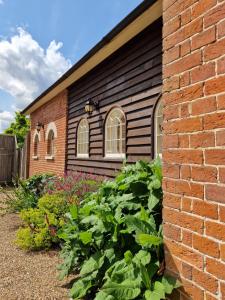 a brick building with two windows and some plants at The Coach House in Hawkhurst