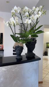 a vase with white flowers in it on a counter at Agritur Girasole in Arco