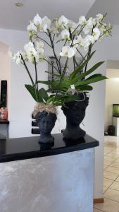 Gallery image of Agritur Girasole in Arco