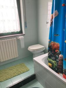 y baño con aseo y ducha de pescado. en Appartement idéal pour découvrir le Sud d'Italie, en Nova Siri Marina