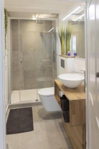 La salle de bains est pourvue d'un lavabo, de toilettes et d'une douche. dans l'établissement Charmant cocon centre historique, à Besançon