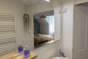 - une salle de bains avec un miroir et un lit dans une chambre dans l'établissement Charmant cocon centre historique, à Besançon