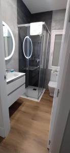 uma casa de banho com um chuveiro, um lavatório e um WC. em San Sebastian Centro Parking incluido em San Sebastián