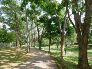 Zahrada ubytování Jome Putrajaya Presint 8 Natural Homestay