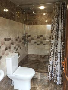a bathroom with a toilet and a shower at Syunyats guest house in Halidzor
