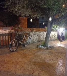 Una bicicleta estacionada junto a un árbol por la noche en Affittacamere b&b Il FIORE en Posada