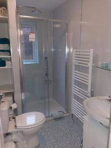 a bathroom with a shower and a toilet and a sink at Castlefield Cosy Cottage in Cupar