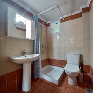 a bathroom with a toilet and a sink and a shower at Penthouse Vasiliki in Vasiliki