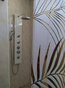 ein Bad mit einer Dusche und einer Glastür in der Unterkunft Espaces Zens&Stimulants grand confort 3ch 3sdb Espaces Jardin Cuisines Sport & Baignade in Cayenne