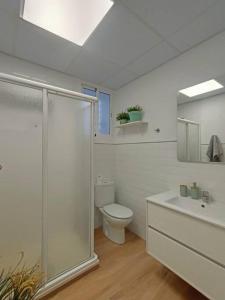 a bathroom with a toilet and a shower and a sink at Apartamento Acerota, con parking gratuito in Córdoba