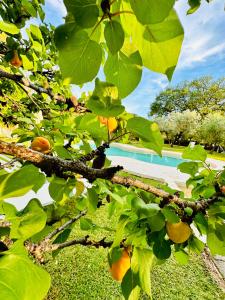Zahrada ubytování Agriturismo Podere Valdo
