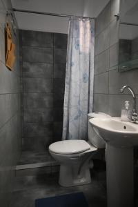La salle de bains est pourvue de toilettes et d'un lavabo. dans l'établissement Apelati, à Kerion