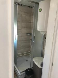 eine Dusche mit Glastür im Bad in der Unterkunft Vila Juliana in Kostol