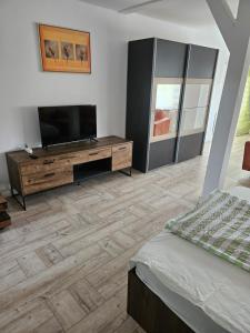 a bedroom with a television and a wooden floor at Studio D'Amalia in Turda