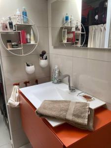 ein Bad mit einem Waschbecken und einem Spiegel in der Unterkunft Loft au cœur de Nîmes in Nîmes
