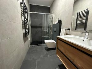 a bathroom with a shower and a sink and a toilet at Oktheway Real 45 in A Coruña