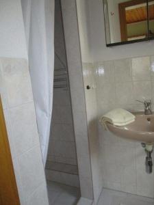 a bathroom with a shower and a sink at Ferienhaus-der-Familie-Demmler in Crottendorf