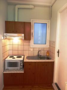 uma pequena cozinha com um lavatório e um micro-ondas em Valaoritou Apartment em Lefkada