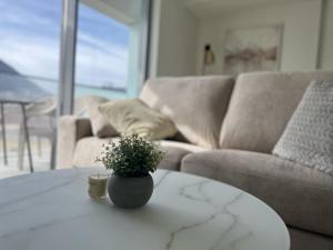 uma sala de estar com uma mesa com uma planta em Luxury 1 Bed Apt With Pool Access In Eurocity em Gibraltar