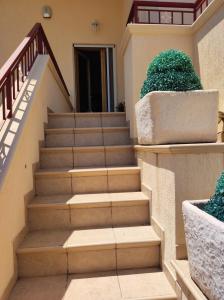 un conjunto de escaleras en una casa con plantas verdes en Greenwich House, en Monopoli