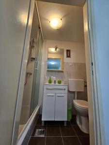 Kúpeľňa v ubytovaní Apartman Nola