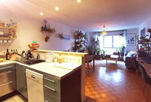 een keuken met een aanrecht en een woonkamer bij Appartement familial Coeur 7 ème in Lyon