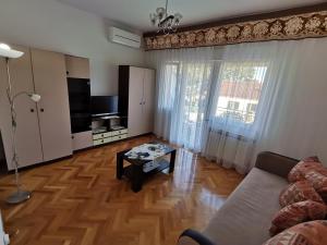 TV a/nebo společenská místnost v ubytování Apartment Grzin