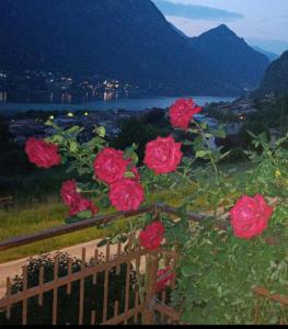 a group of pink roses sitting on top of a fence at B&B le rose in Crone