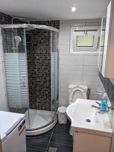 a bathroom with a shower and a sink and a toilet at Anchorage Apartment in Rachoni in Rachonio