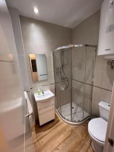 a bathroom with a shower and a toilet and a sink at Apartamento Atocha/Reina Sofía in Madrid
