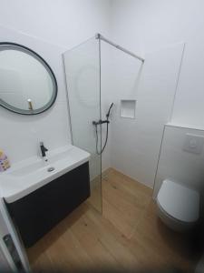 a bathroom with a sink and a mirror and a toilet at MB Apartman in Čapljina