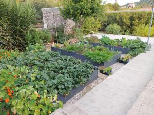 Foto dalla galleria di Villa Nobilo a Lumbarda (Lombarda) Altre 58 foto