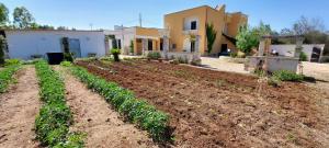 a vegetable garden in front of a house at Villa PARADISO - Tra Ulivi e Tramonti da Cartolina in Muro Leccese +56 photos