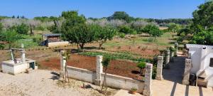 a garden with many plants in a field at Villa PARADISO - Tra Ulivi e Tramonti da Cartolina in Muro Leccese