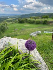 Gallery image of CASTAGNA DULCIS in Abbadia San Salvatore