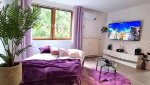 a living room with a bed and a large window at Wohnung: Beast. Bis 6 Personen, Klima, Massageliege, 3x TV in Cremlingen +32 photos
