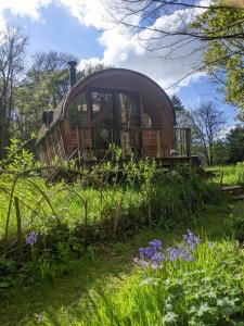 an old train sitting on the tracks in a field at Caban Delor. Off-grid glamping experience. Walking distance into Caernarfon. 20-min drive to Snowdonia or Anglesey. in Caernarfon
