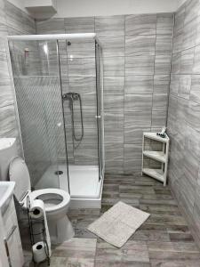 a bathroom with a shower and a toilet and a sink at Milan Apartman in Budapest
