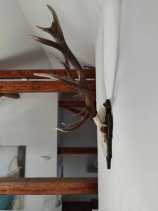 Fotografie z fotogalerie ubytování Sägemühle Eschachthal v destinaci Buchenberg
