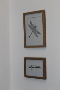 Fotografie z fotogalerie ubytování Sägemühle Eschachthal v destinaci Buchenberg
