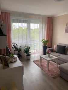 Posedenie v ubytovaní Sóstó Forest Apartman