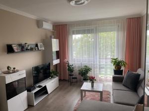 Televízia a/alebo spoločenská miestnosť v ubytovaní Sóstó Forest Apartman
