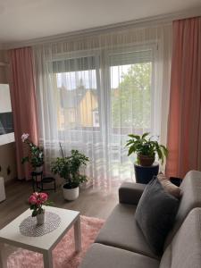 Posedenie v ubytovaní Sóstó Forest Apartman