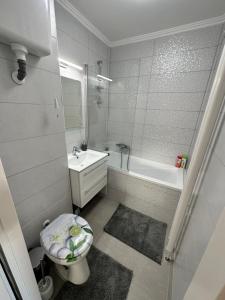 Kúpeľňa v ubytovaní Sóstó Forest Apartman