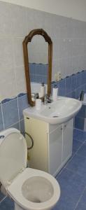Koupelna v ubytování Apartmán U Radka