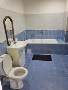 Koupelna v ubytování Apartmán U Radka