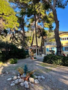 a house with a plant in the middle of a yard at Beachfront self-catering studios in Psatha Bay - 60km from Athens in Psatha